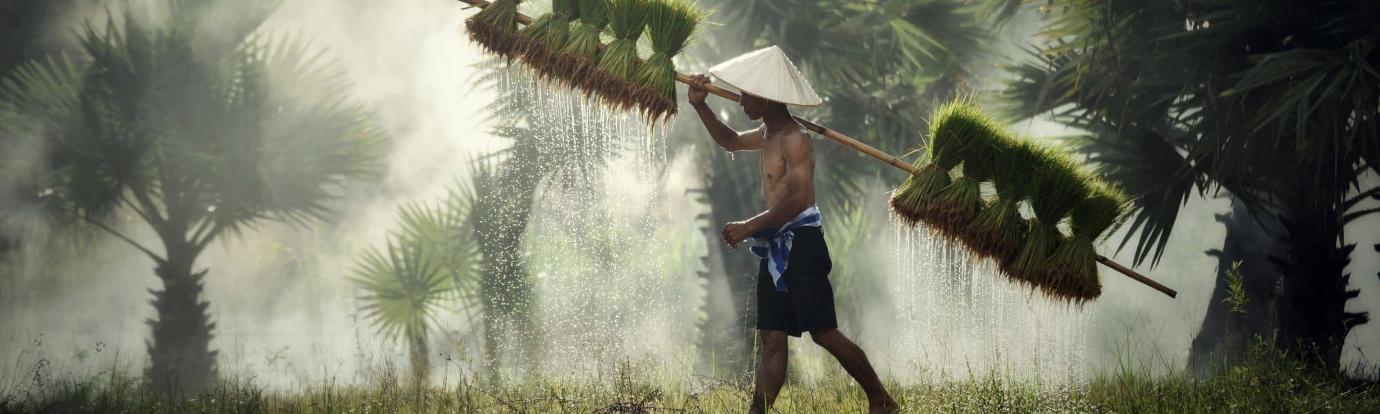 Abonnement de massage à Paris