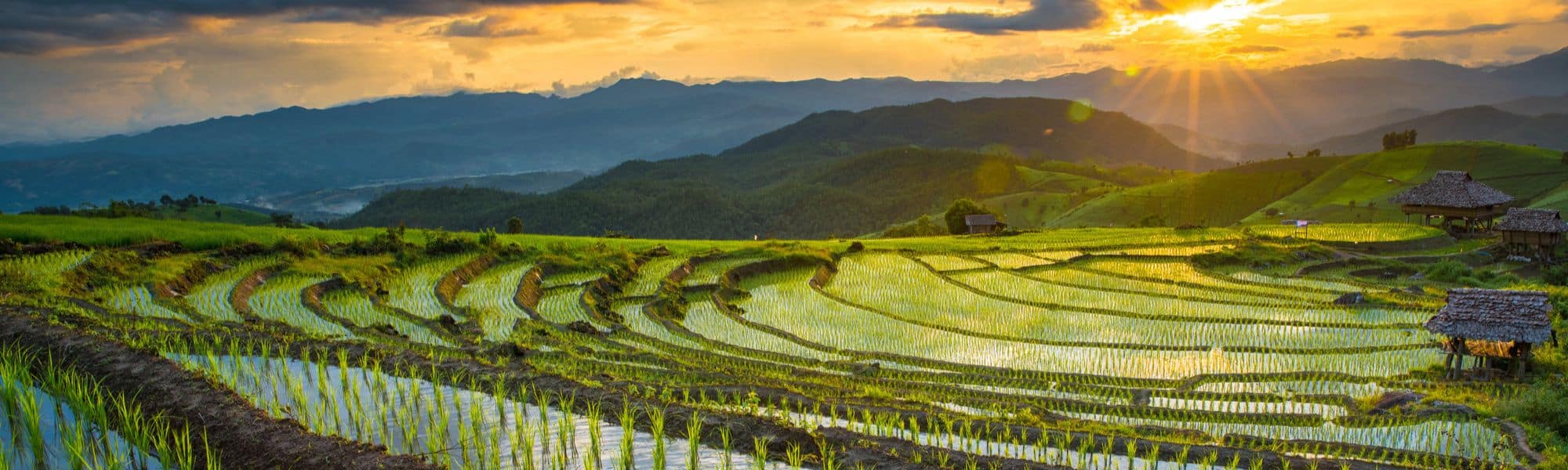 Découvrez l’authenticité du massage thaïlandais au cœur de Paris