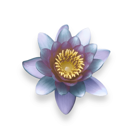 Lotus symbole de bien-être après un massage thaïlandais traditionnel